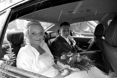 zdjecia na slub - Paw�owice