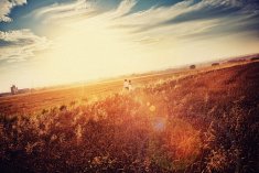 fotograf na wesele - Ruda �l�ska