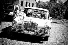 fotografie weselne - Dąbrowa Górnicza
