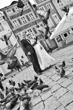 fotografia slub - Leszno