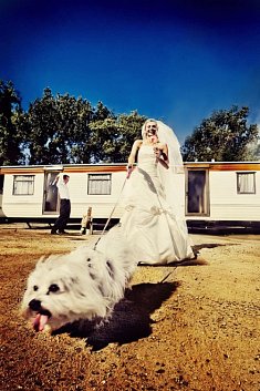 fotografie wesela - Wroc�aw