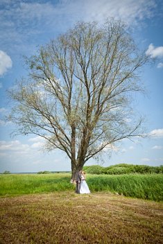 fotografie na �lub - Zambr�w