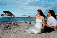 foto sluby - Bytom