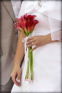 fotografia na �lub - �elazk�w