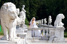 foto na �lub - Krak�w