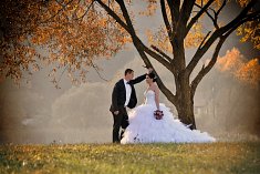fotografia wesela - Pszczyna