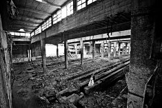 fotografie sluby - Tarn�w