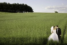 fotograf na slub - Wa�brzych