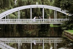fotografie weselne - Ole�nica