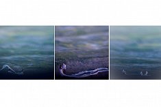 fotografie na wesela - Kryspin�w