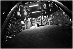 zdjecia wesele - Wroc�aw