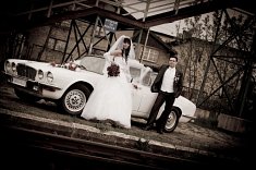 fotografie na �lub - Chorz�w