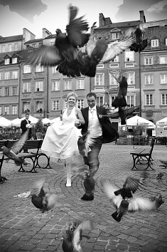fotograf na wesele - Micha�owice
