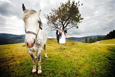 zdjecia �lubne - Wroc�aw