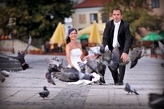 fotografia na slub - Jasło