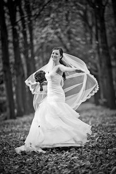 fotografie �luby - Nowy Dw�r Mazowiecki