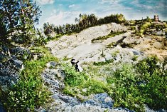 zdjecia wesela - Tarn�w