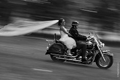 fotografie na slub - Tomasz�w Mazowiecki