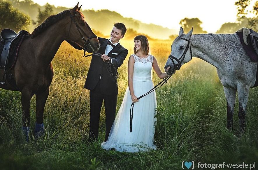 Sesja ślubna z końmi