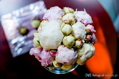 Rafał - fotograf Poznań