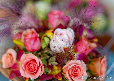 Paweł - fotograf Kraków