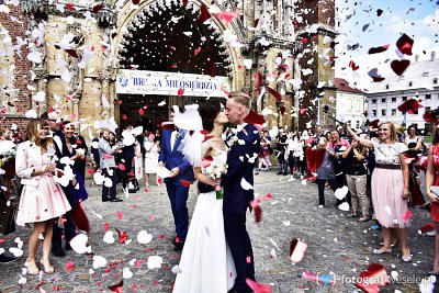 Fotograf na wesele: Maciej, Wrocław - portfolio