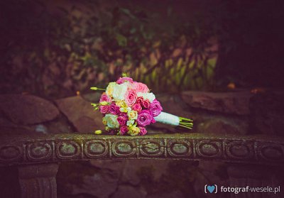 Dmytro - fotograf Kraków