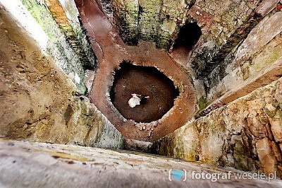 Sławomir - fotograf Rzeszów