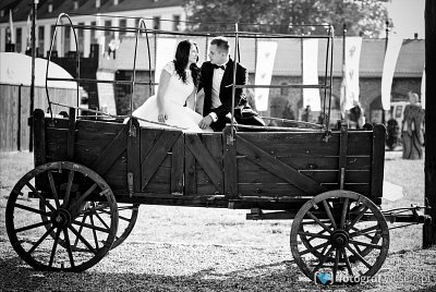 Fotograf na wesele: Tomasz, Nowe - portfolio