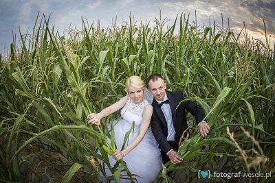 Fotograf Maciej, Kudowa-Zdrój - fotografie ślub - Wrocław
