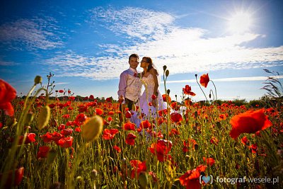 Fotograf na wesele: Aneta, Toruń - portfolio