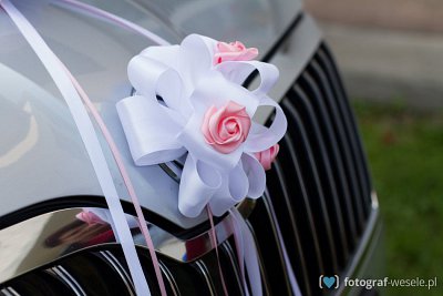 Fotograf na wesele: Alicja, Lubawka - portfolio