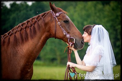 Fotograf na wesele: Zbigniew, Kraków - portfolio