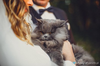 Fotograf Artur, Kartuzy - fotografia wesela - Toruń