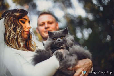 Fotograf na wesele: Artur, Kartuzy - portfolio