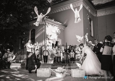 Fotograf na wesele: Grzegorz, Inowrocław - portfolio