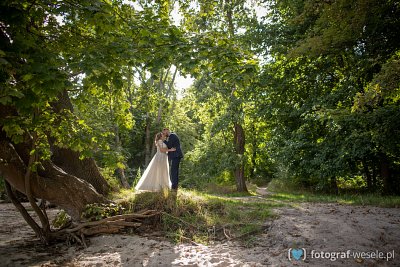 Fotograf na wesele: Marek, Wejherowo - portfolio