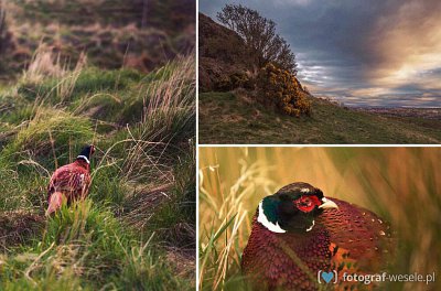 Marcin - fotograf Zielona Góra