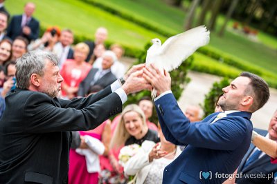 Fotograf na wesele: Marek, Wrocław - portfolio