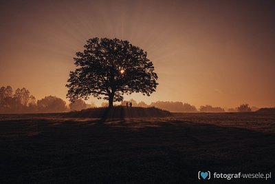 Fotograf na wesele: Marcin, Bielsko-Biała - portfolio
