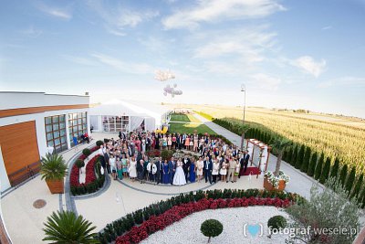 Fotograf na wesele: Stanisław, Leszno - portfolio