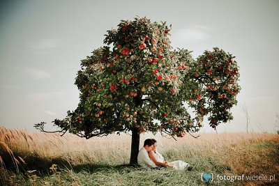 Fotograf na wesele: Tomasz, Warszawa - portfolio