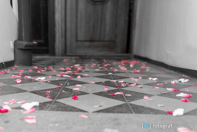 Fotograf na wesele: Krzysztof, Gdynia - portfolio