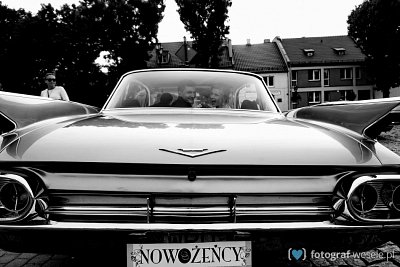 Sylwia - fotograf Ciechanów