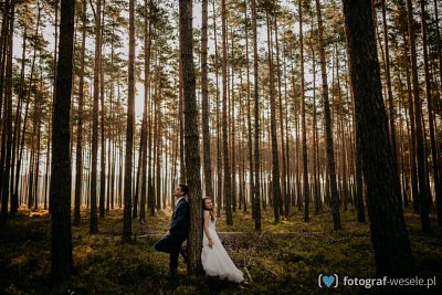 Fotograf na wesele: Paweł, Legnica - portfolio