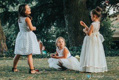 Fotograf na wesele: Pawel, Wrocław - portfolio