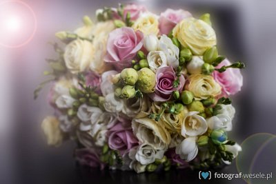 Fotograf Aleksandra, Wrocław - fotografie ślubne - Środa Śląska