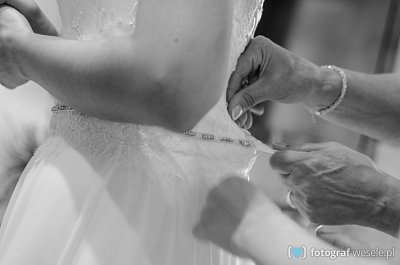 Fotograf na wesele: Aleksandra, Wrocław - portfolio