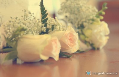 Aleksandra - fotograf Wrocław