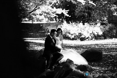 Fotograf na wesele: Dariusz, Gdańsk - portfolio